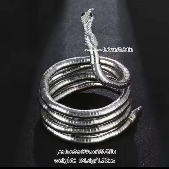 Silver Serpenti Snake Necklace-Bracelet Multifunctional - Picture 10 of 17